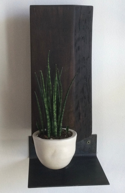 I) On order. Handmade Sculpture Wood Ceramic Plants