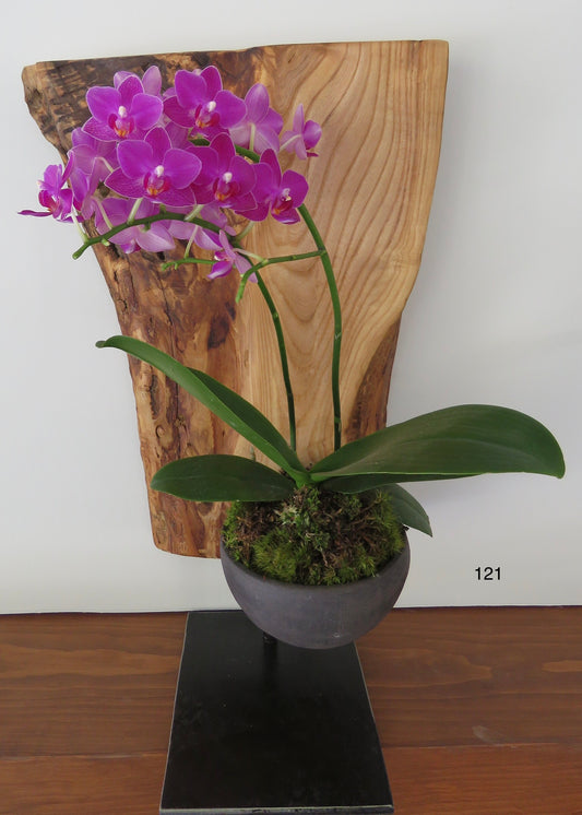 L) On order. Handmade Sculpture Wood Ceramic Plants