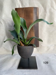 N) On order. Handmade Sculpture Wood Ceramic Plants