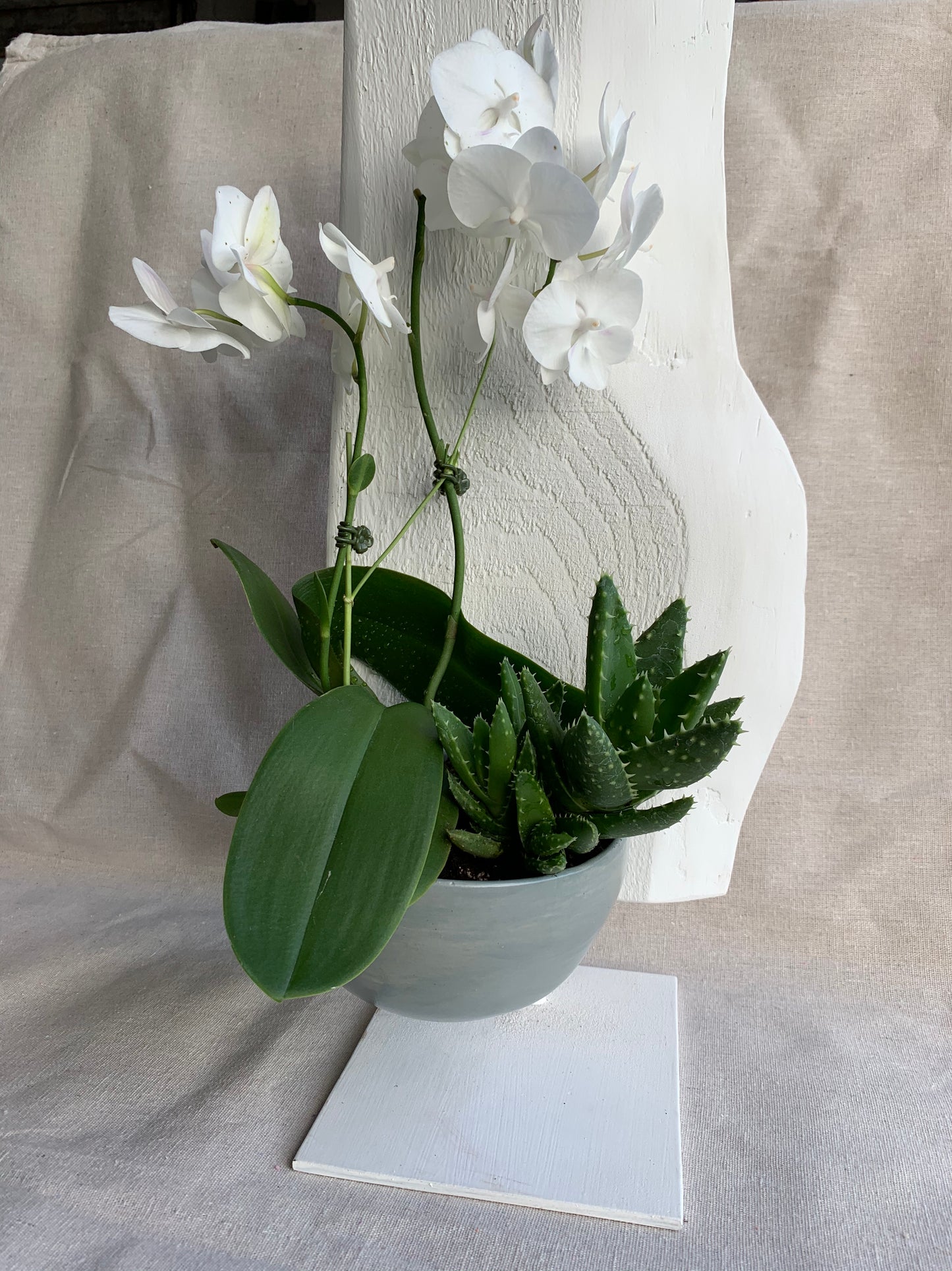 ZE) On order. Handmade Sculpture Wood Ceramic Plants