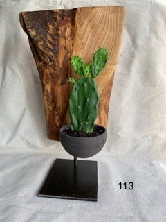 Z) Sur commande. Sculpture Artisanale Bois Céramique Végétaux
