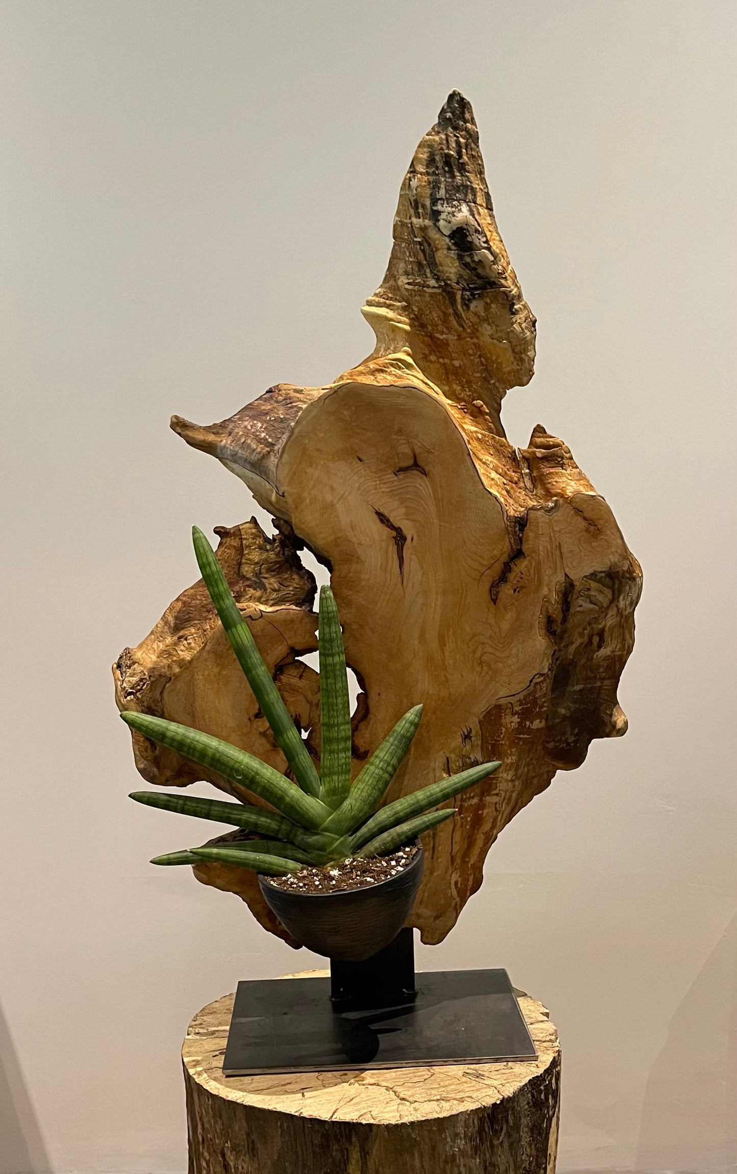 AA) Sur commande. Sculpture Artisanale Bois Céramique Végétaux
